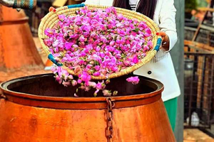 آیین گلابگیری کاشان جهانی شد