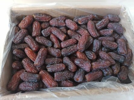 آذربایجان شرقی بدون حتی یک نخل، در جایگاه برتر فرآوری و بسته‌بندی خرما در کشور