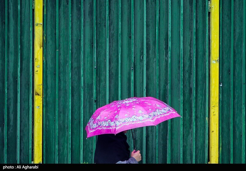 بارش باران و کاهش نسبی دما در نوار شمالی کشور