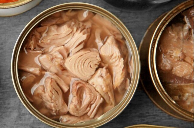 فلزات سنگین در ماهی‌های حرام گوشت/خطری پنهان در بازار کنسرو ماهی