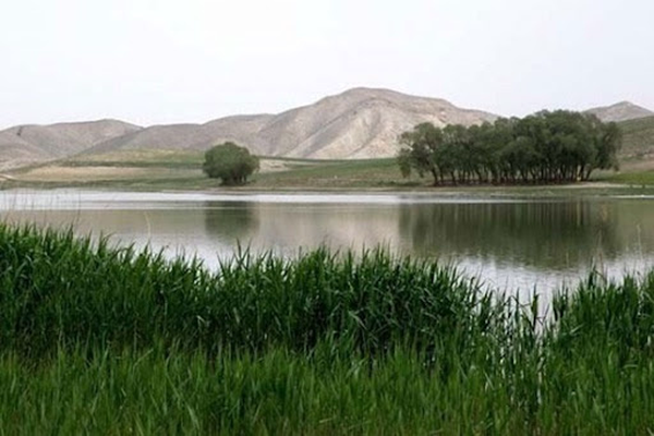 رفع تصرف و خلع ید ۸۰۰۰ مترمربع از اراضی تالاب بین‌المللی «قوری‌گول»