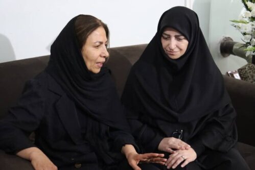 ضرورت اصلاح قانون حمل سلاح برای محیطبانان / تشکیل کمیته مشورتی نحوه برخورد با متخلفان