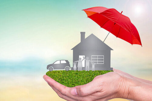 کدام بیمهها تقاضای بیشتری دارند؟