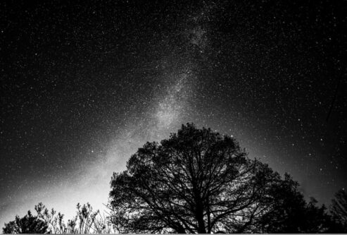 سلام شهریور به روی «ماه سیاه»