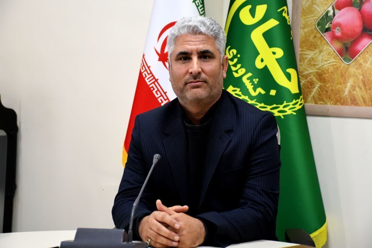 برداشت 7 هزار تن پنبه از مزارع شهرستان خداآفرین