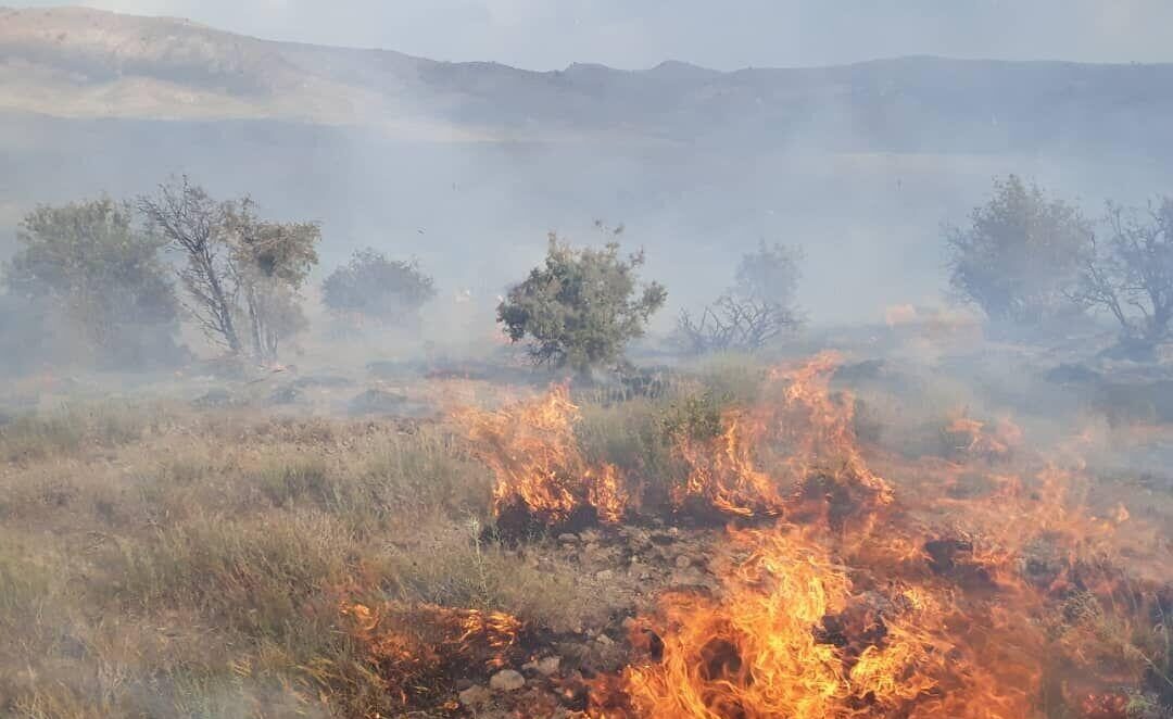 آتش سوزی در مراتع جنگلی روستای نمنق جلفا