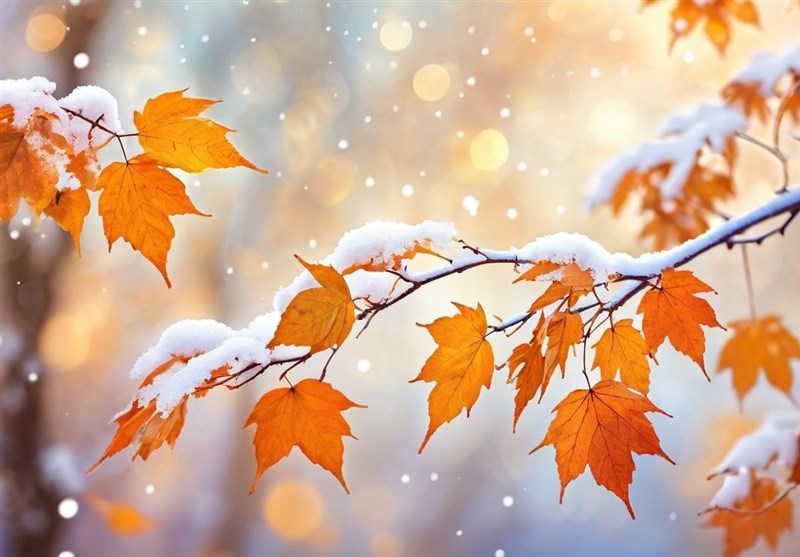 هشدار نارنجی بارش برف و باران