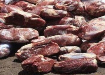 کشف ۱۳ تن گوشت و فرآوردههای پروتئینی فاسد در تبریز